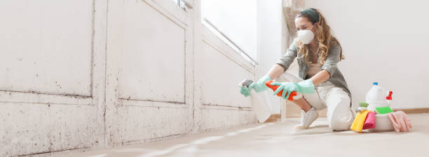 Best Attic Mold Removal  in Mount Carmel, PA